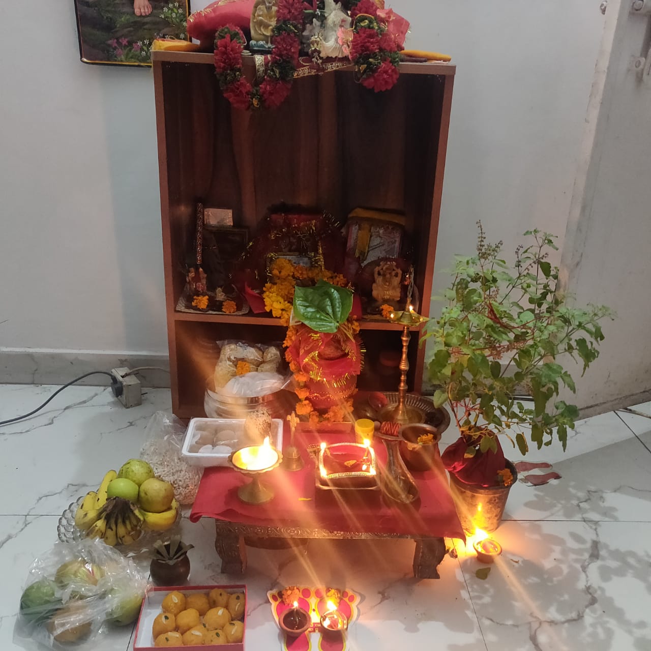 Spacious 2BHK Extended DDA Flat with Terrace Rights – B-9 Vasant Kunj (1100 sq. ft)