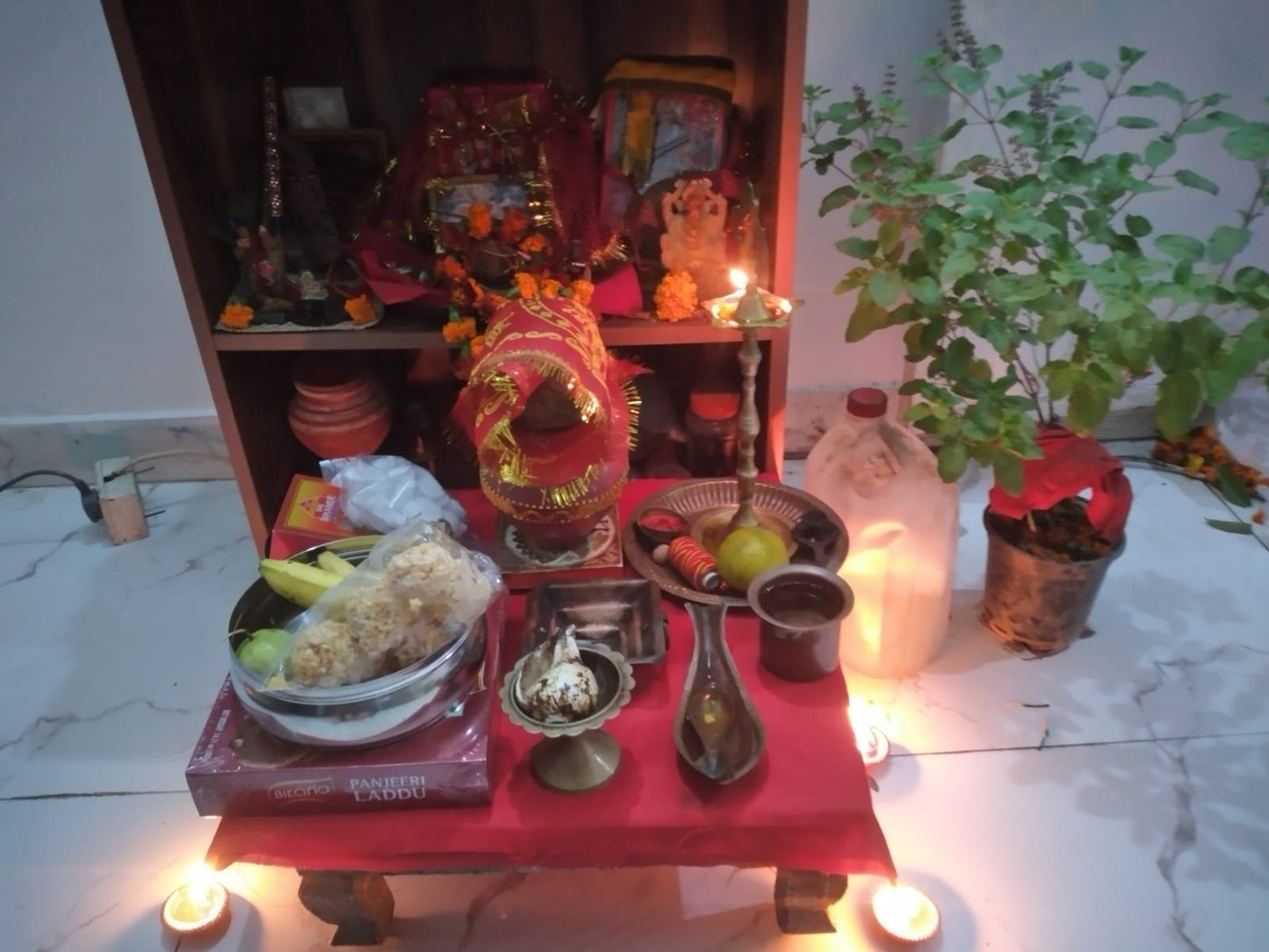 Spacious 2BHK Extended DDA Flat with Terrace Rights – B-9 Vasant Kunj (1100 sq. ft)